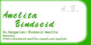 amelita bindseid business card